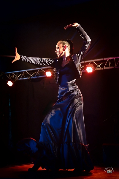 flamenco (102)